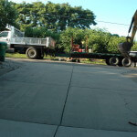 Permeable Drive - Before