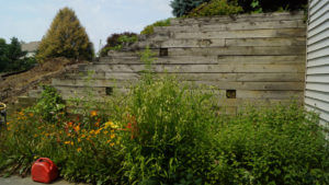 Timber retaining wall - before