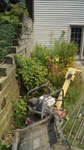 Timber retaining wall - before